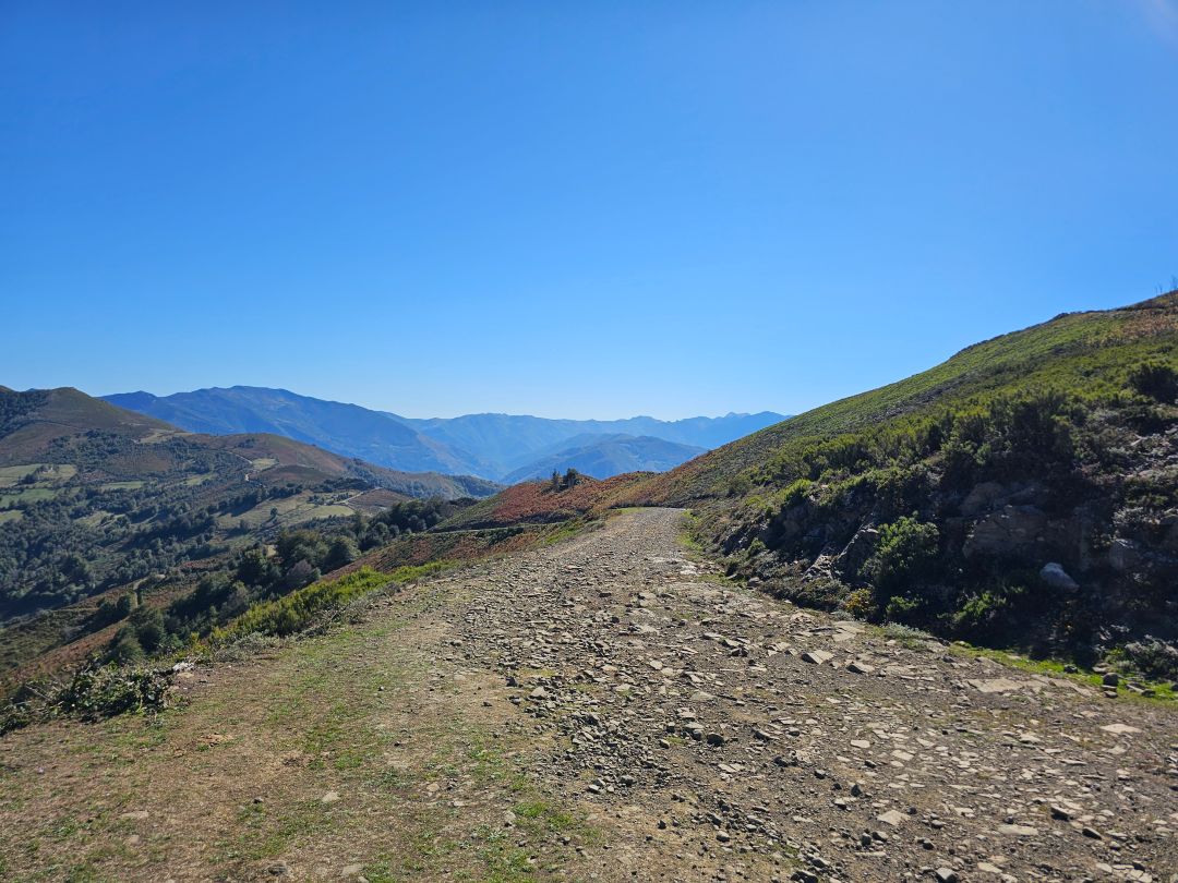 Mirador