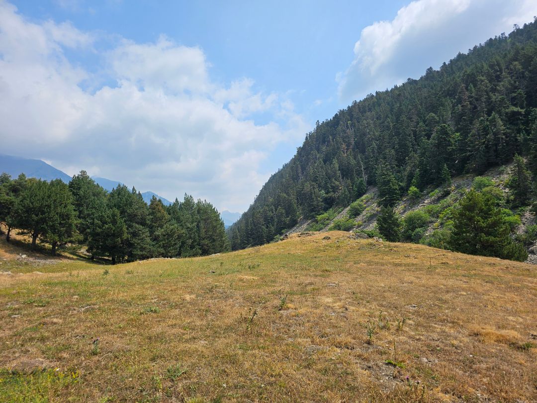 Paisaje