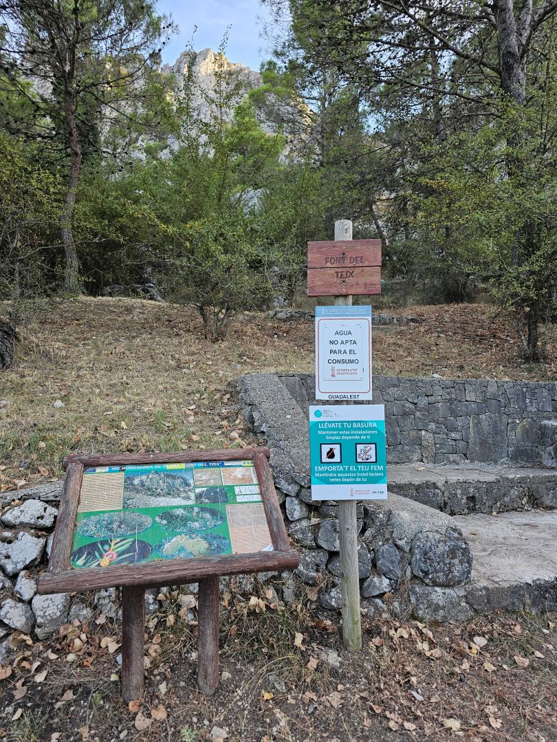 Area recreativa forestal