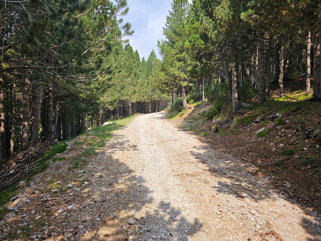 Pista de la Estiva - Mirador Monte Perdido